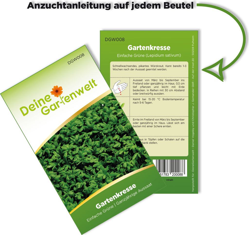 Gartenkresse Einfache Grüne Samen - Lepidium sativum - Produktbild 3