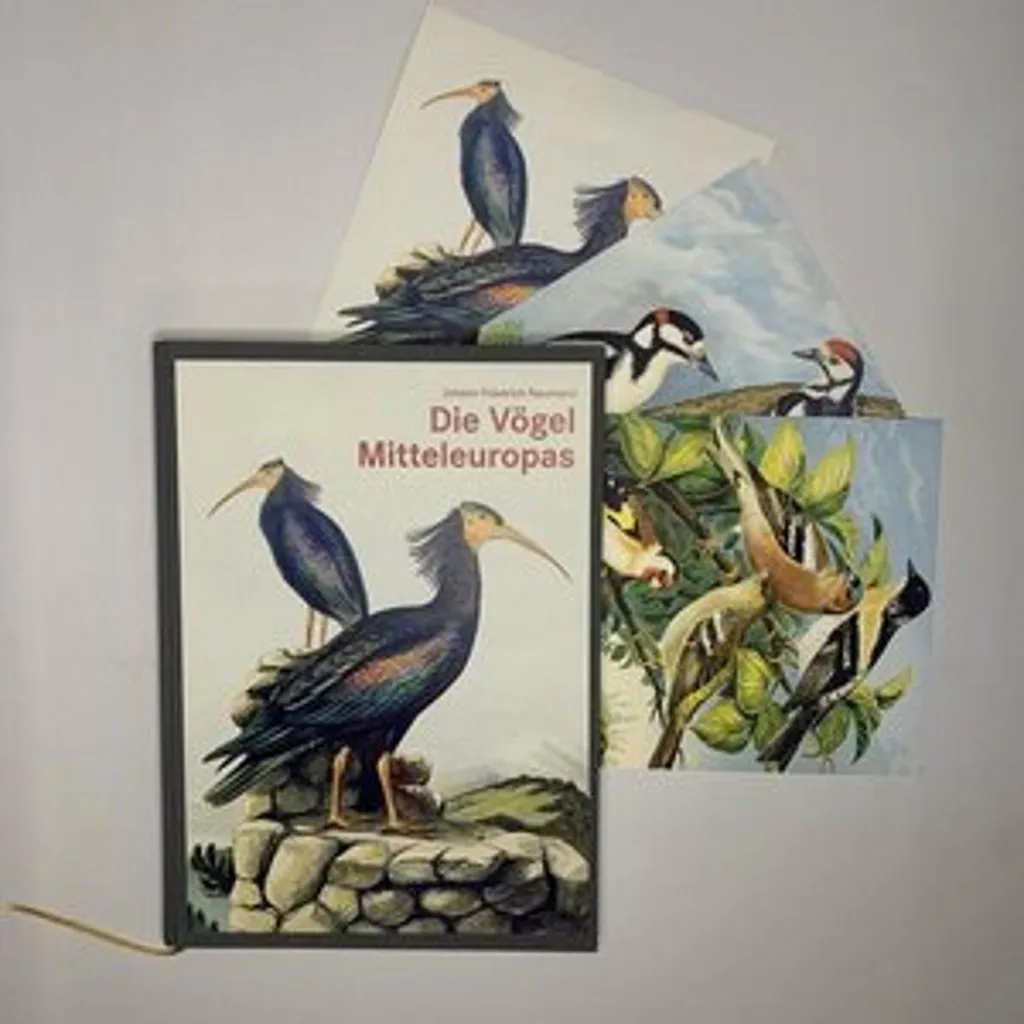 Die Vögel Mitteleuropas Édition de Luxe Grand Format Livre Ornithologie