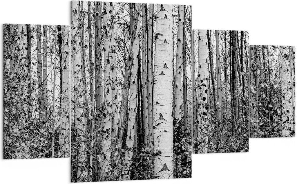 Bild auf Leinwand - Leinwandbild - 4 Teile - Birken Wald Monochrom - 160x90cm - Wand Bild - Wanddeko - Wandbilder - Leinwanddruck - Bilder - Wandde...