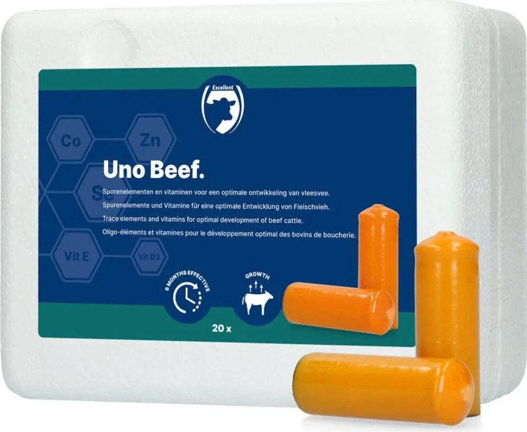 ONU bétail de boucherie pour élevage bovin professionnel de qualité