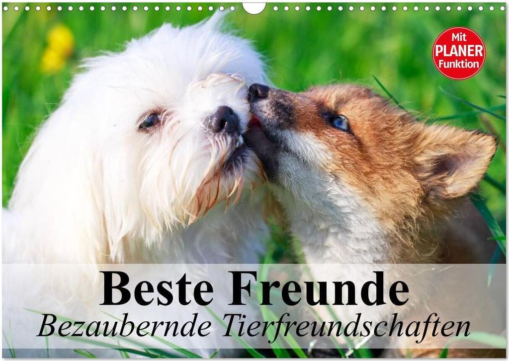 Beste Freunde. Bezaubernde Tierfreundschaften (Wandkalender 2026 DIN A3 quer), CALVENDO Monatskalender
