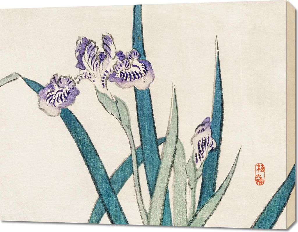 Bild 90x70cm Iris, Kōno Bairei Japanisches Vintage für das Wohnzimmer