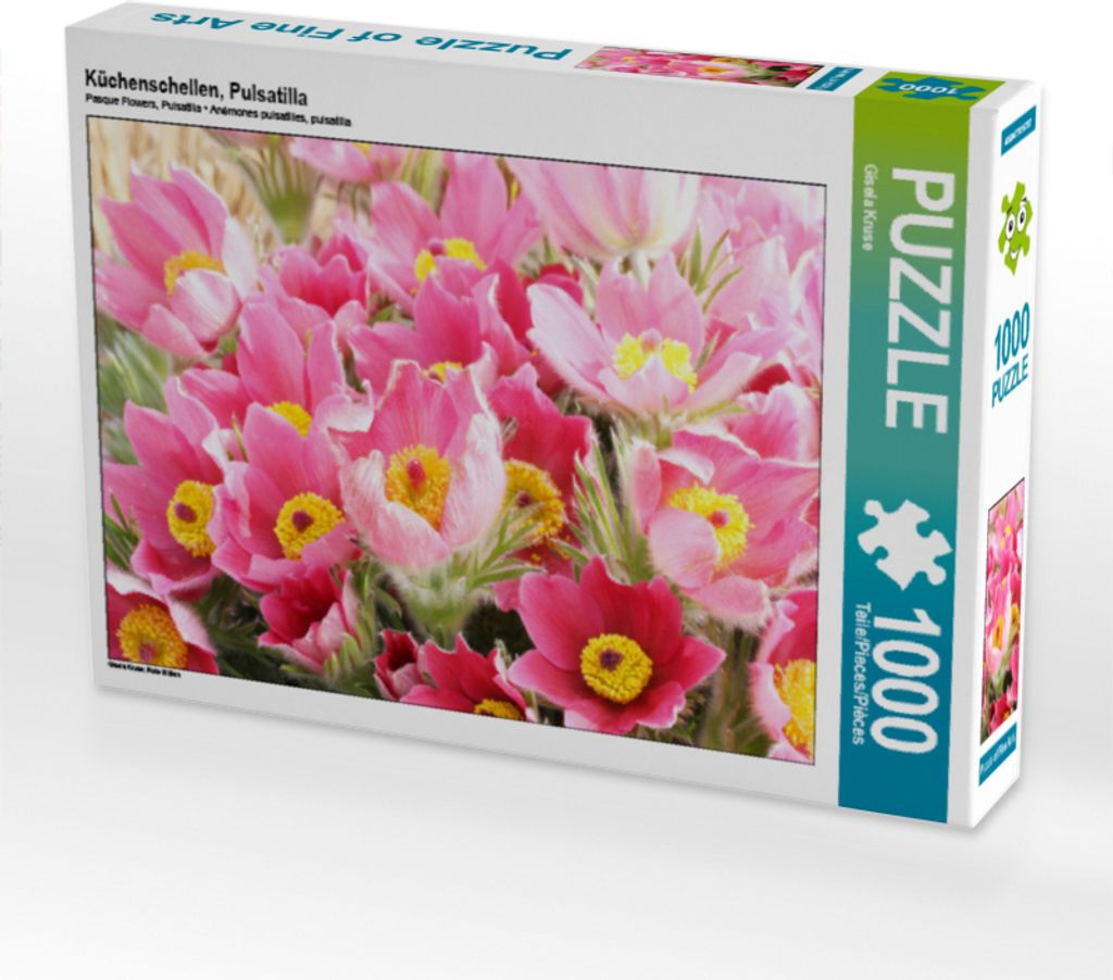 CALVENDO Puzzle Küchenschellen, Pulsatilla | 1000 Teile Produktbild 