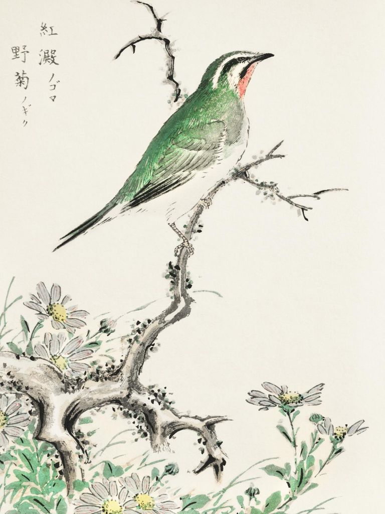 Plakat 15x20cm Wilde Kamille, Japanischer Vintage Kashu für das Wohnzimmer