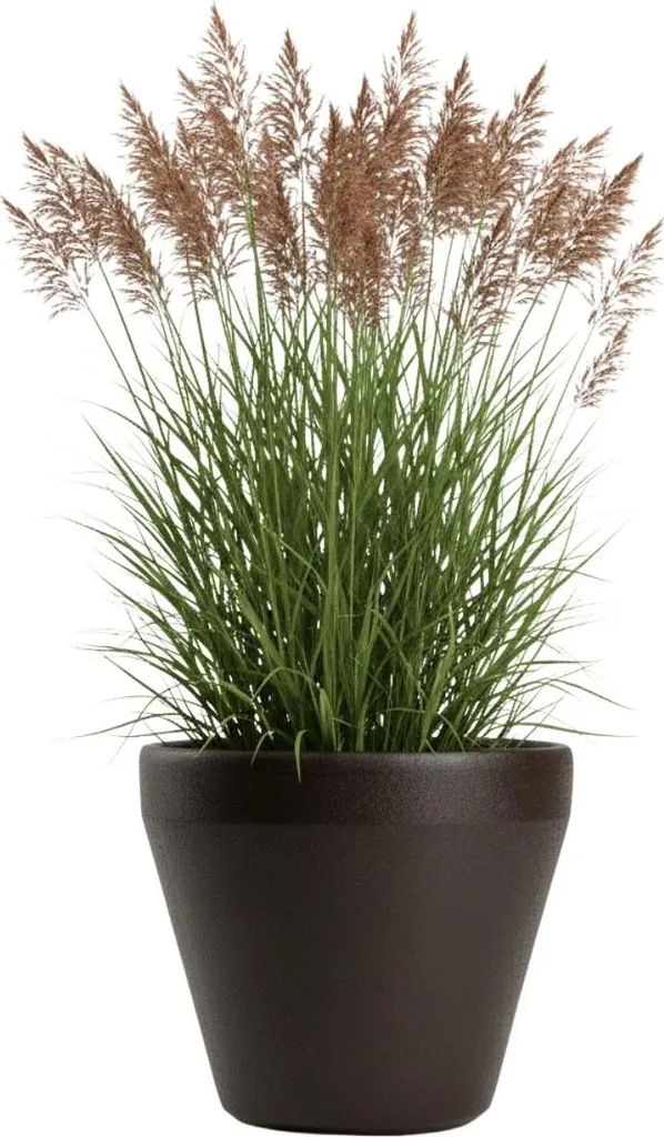 Grand Cache-pot Marron 55 cm HowHomely - Jardinière Haute Décorative