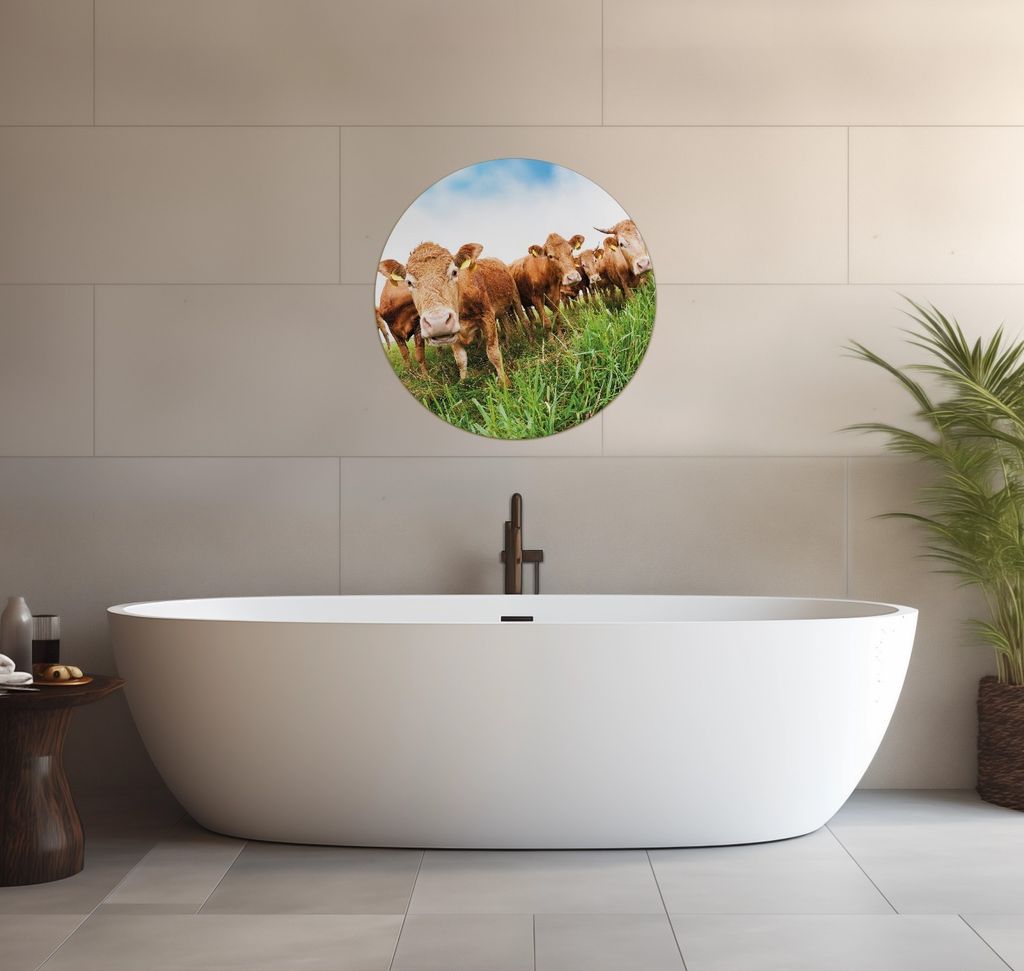 Wallario wasserfestes Poster selbstklebend 60 x 60 cm, Kühe im Sommer auf der Weide, Badezimmerposter Spritzschutz mit Hochglanzoberfläche in Gla...