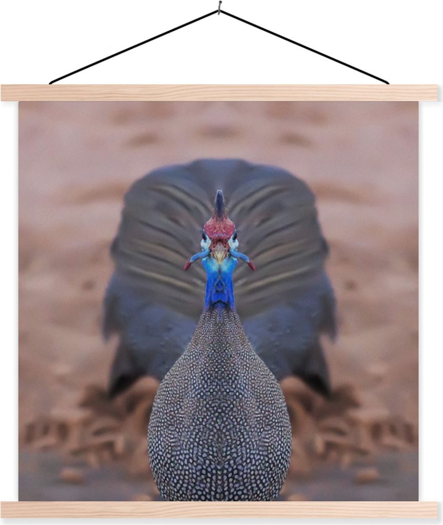 MuchoWow Textilposter Perlhühner - Vögel - Federn 40x40 cm mit holzfarbenen Rahmen - Posterleiste