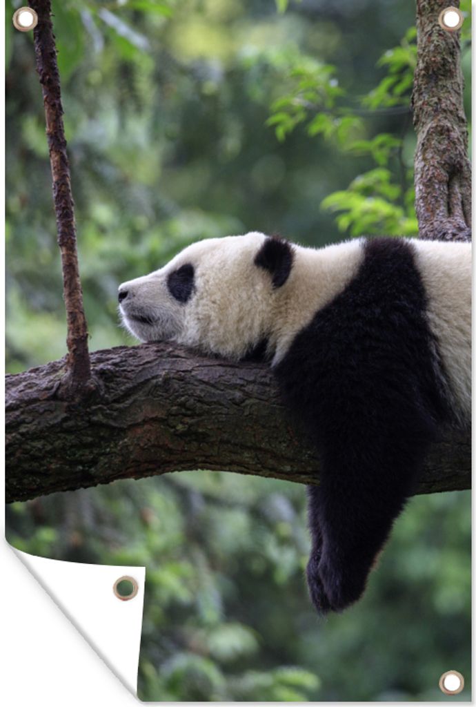 MuchoWow 60x90 cm Outdoor-Poster Gartendeko Sichtschutz Garten Poster für den Garten Panda - Baum - Tiere - Natur