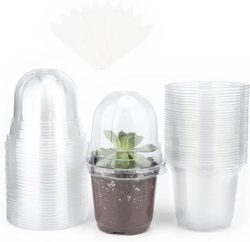 Mini Serres de Semis Allecto Plus : 32 Pots Transparents et Boutures