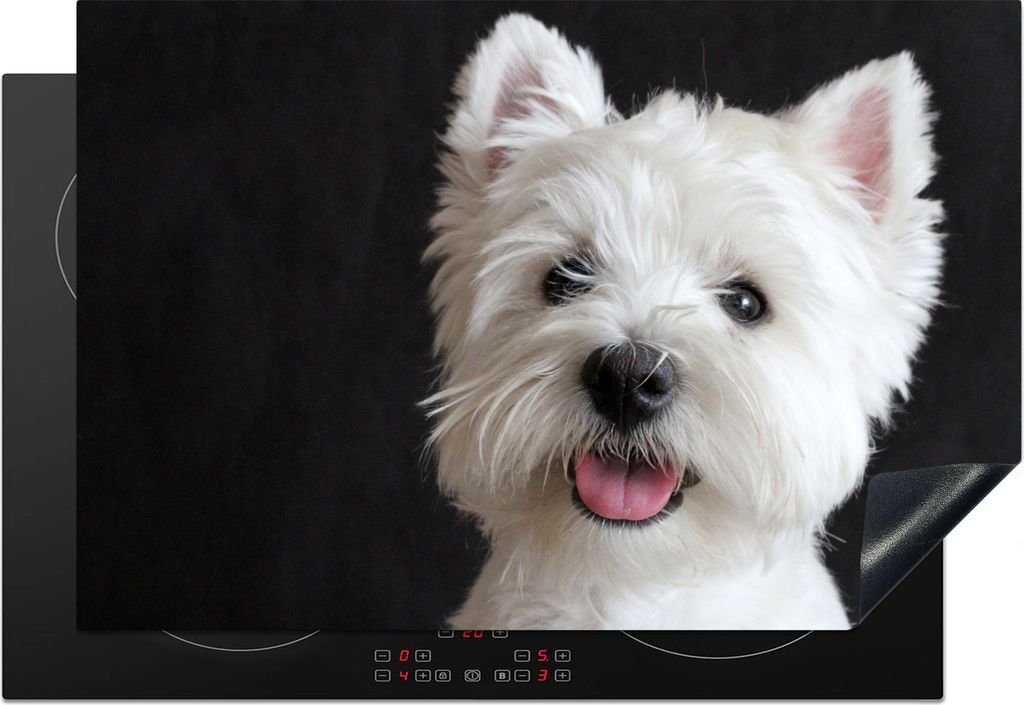 KitchenYeah Herdabdeckplatte West Highland Terrier auf schwarzem Hintergrund , 78x52cm, Küche Deko, Glaskeramikkochfeld Herdabdeckung, Abdeckpla...