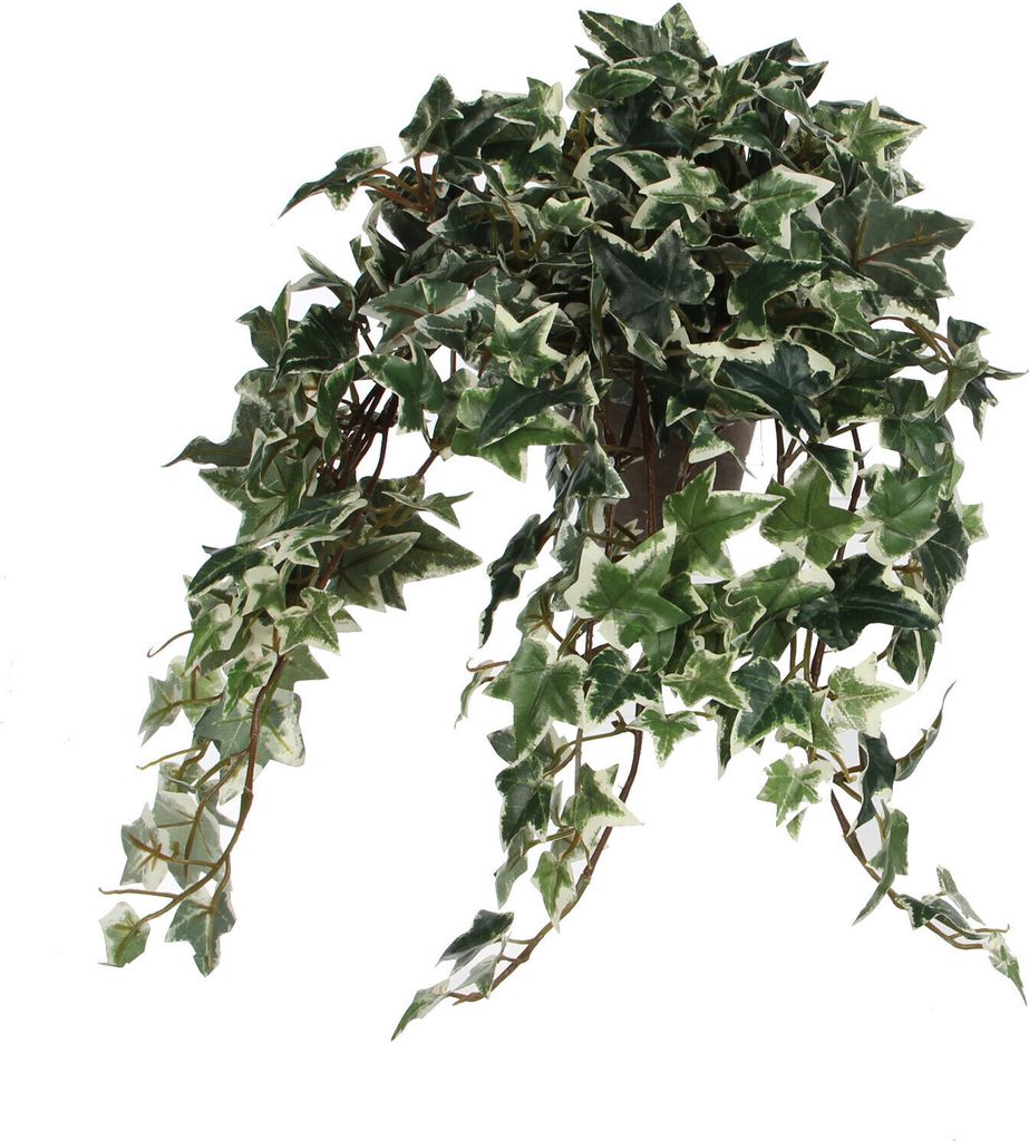Mica Decorations Efeu Kunstpflanze im Blumentopf Stan - H45 Produktbild 