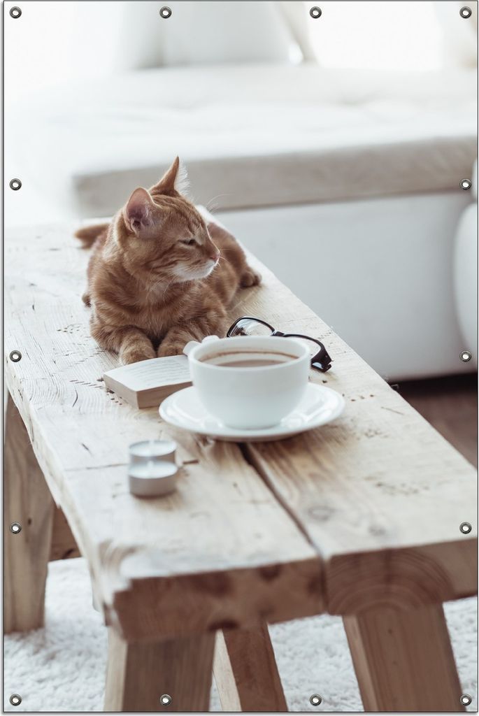Wallario Outdoor-Poster für Garten oder Balkon, Motiv Süße rot getigerte Katze beim Kaffee, in ca. 120 x 180 cm