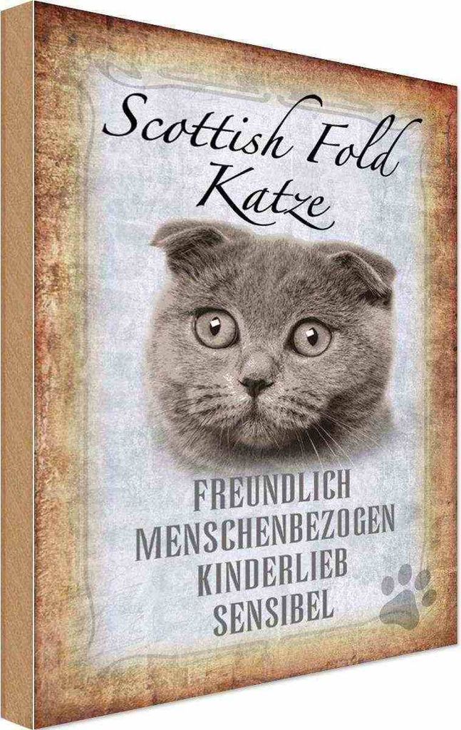 vianmo Holzschild 30x20 cm Scottish Fold Katze Tier Haustier