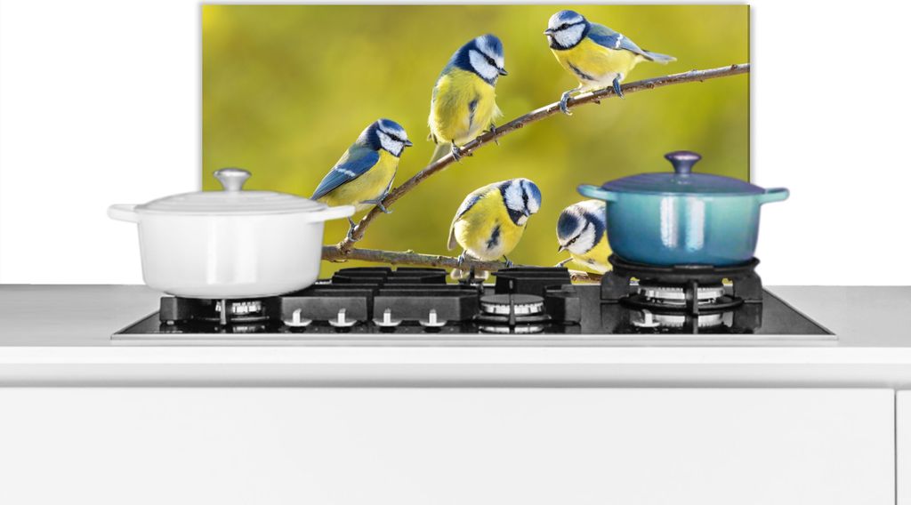 KitchenYeah Spritzschutz Küche - Küchenrückwand - Wandschutz für Herd und Spüle - Vogel - Blaumeise - Äste - Sonne 60x30 - Alu-Dibond (Alt...