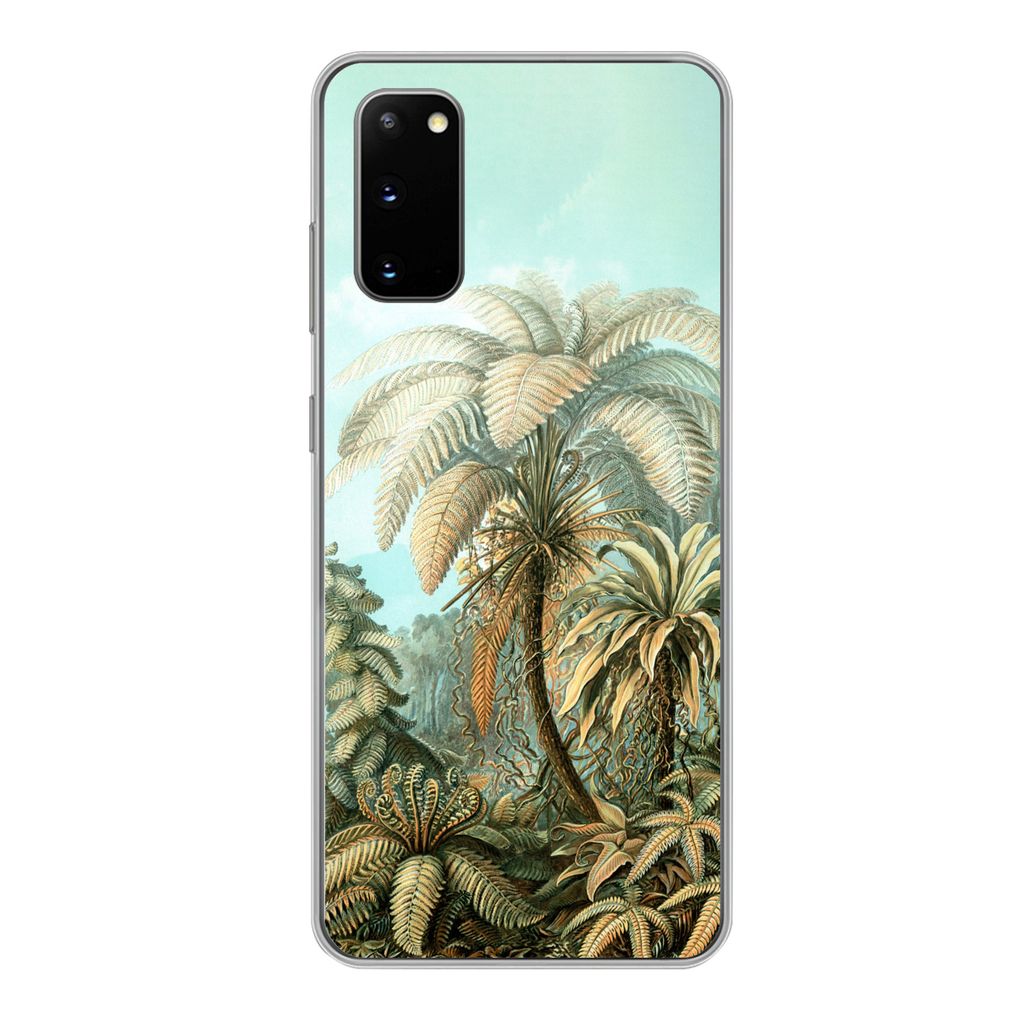 MuchoWow Handyhülle Schutzhülle Hülle für Samsung Galaxy S20 Filicinae - Haeckel - Alte Meister Silikon Softcase Handy Hülle - Bild