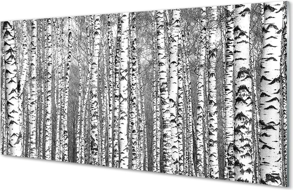 Glasbilder 120x60 Wandkunst Schwarz-Weiß-Baum