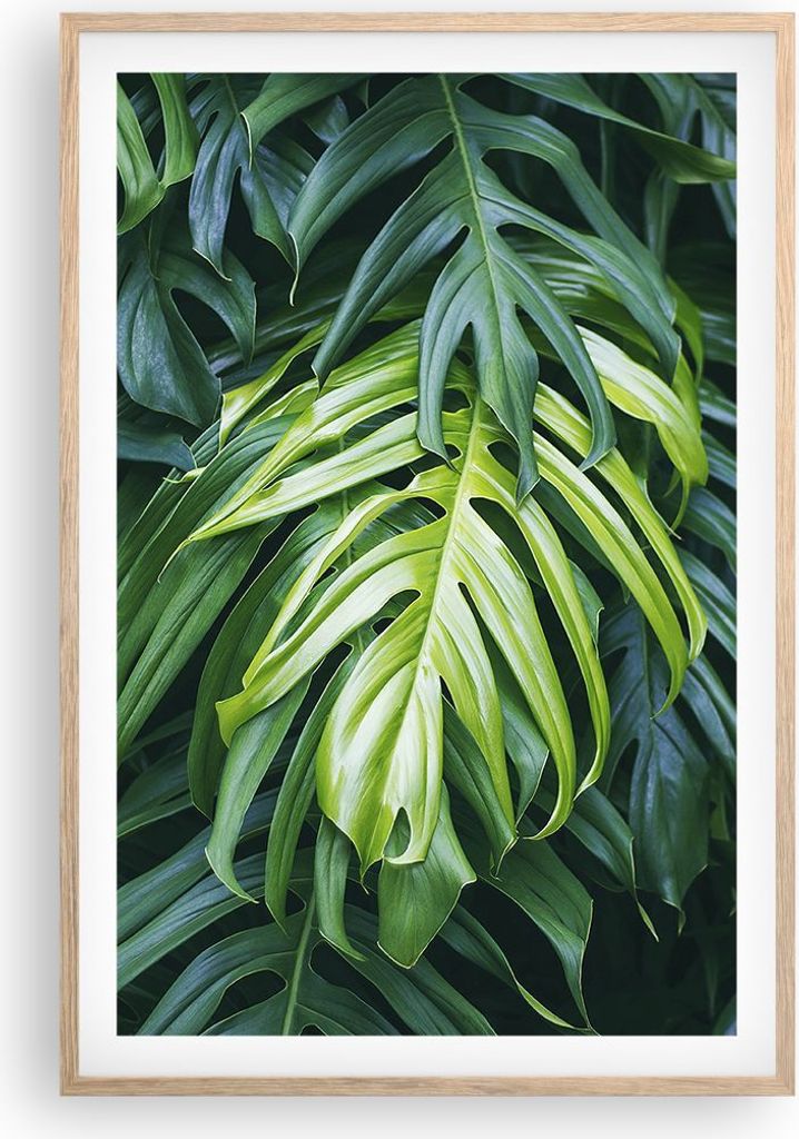 Gerahmtes Poster - Rahmen in heller Eiche - Blume Natur - 61x91,5 cm - Wand Bild - Wanddeko - Wandbilder - Kunstposter - Wandposter - Bilderrahmen ...