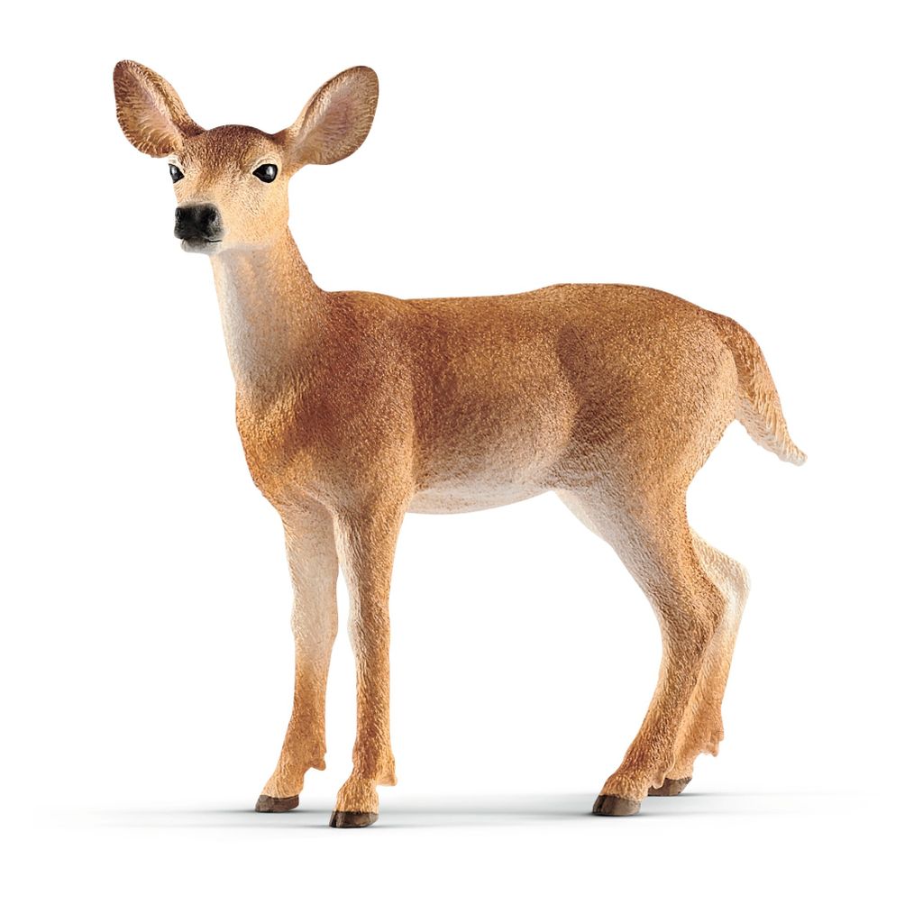 Schleich - Cervo Virgina Mare 14819 Immagine del prodotto 