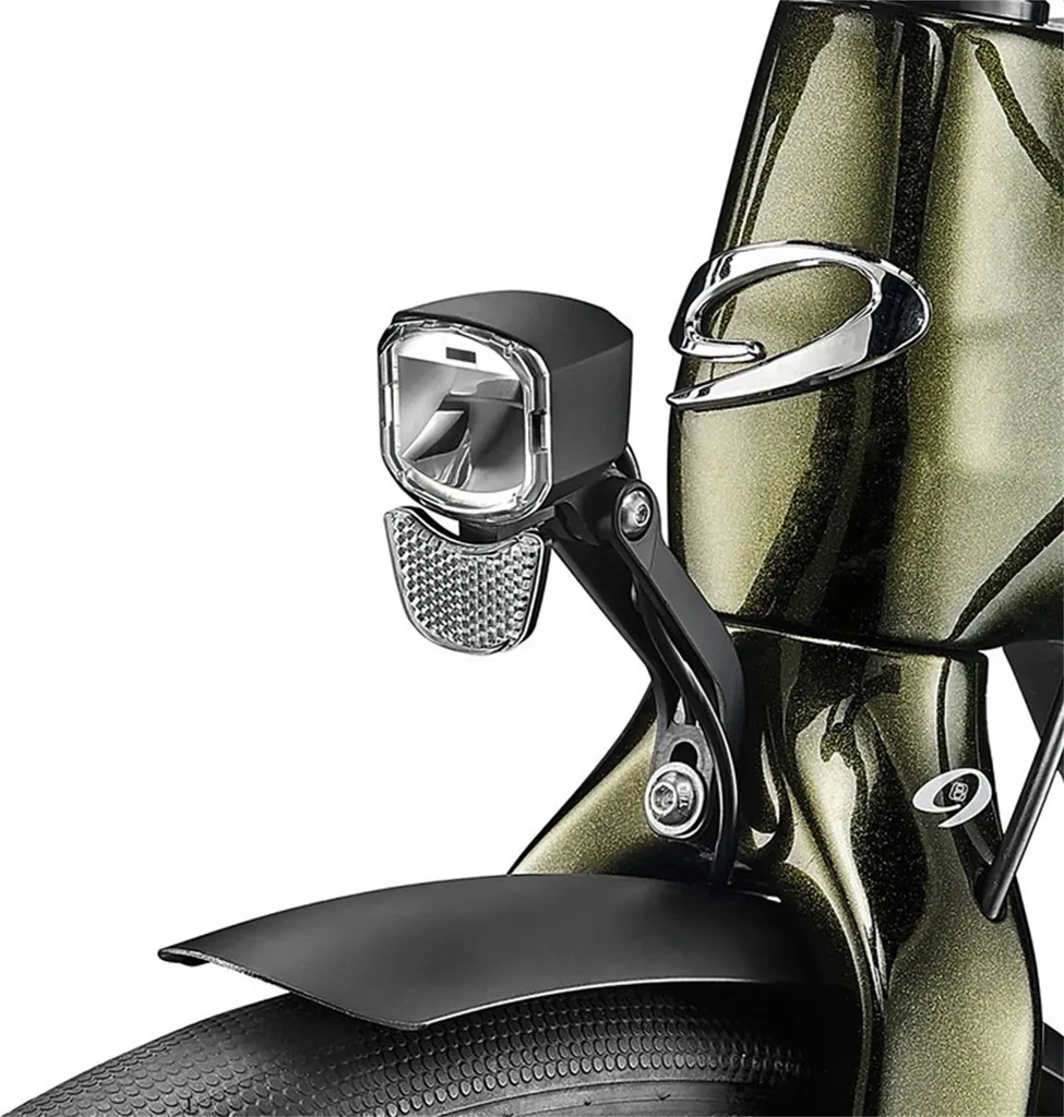 Litemove RX-E50 Phare LED pour Vélo Électrique avec Support Universel