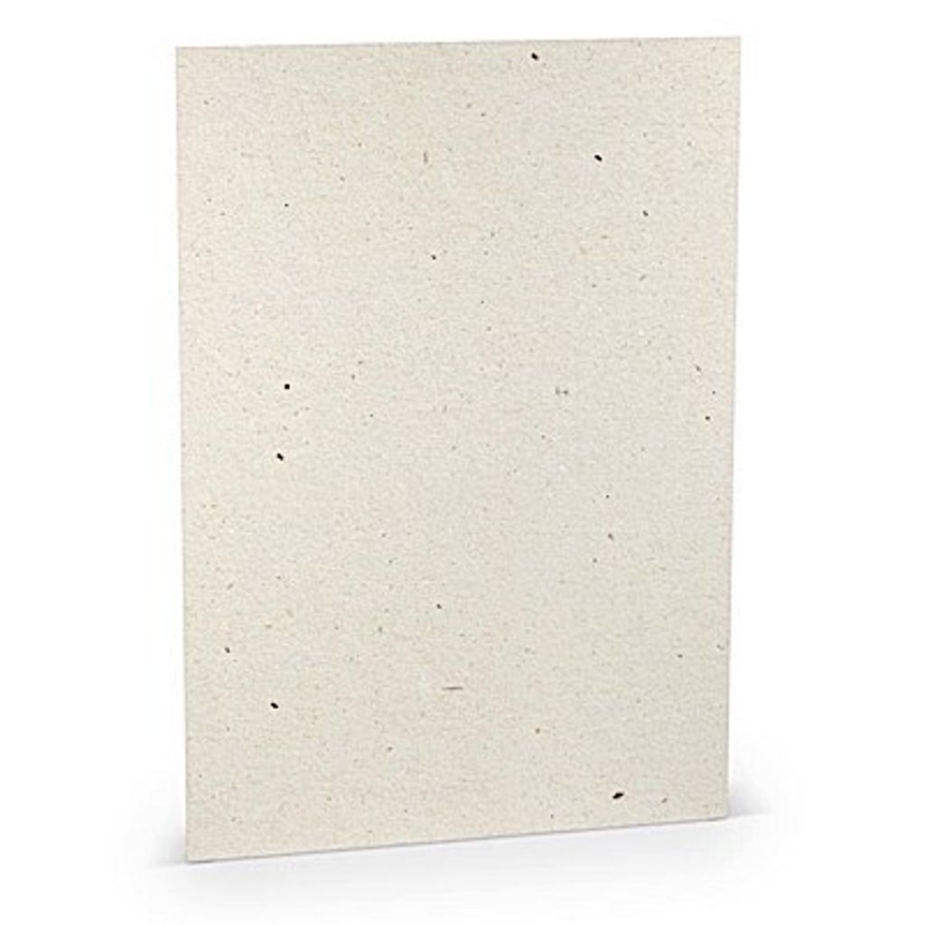 Karton A4 220g/qm VE=5 Blatt Terra Vanilla
