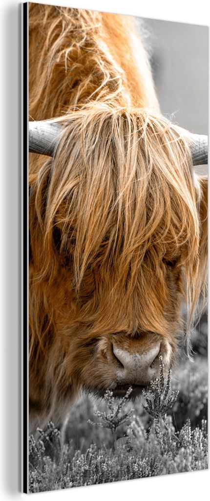 MuchoWow Wanddekoration Metall Metallbild Wandkunst 40x80 cm Schottisches Hochlandrind - Tiere - Braun - Kuh - Schwarz - Weiß - Natur MuchoWow Alu...