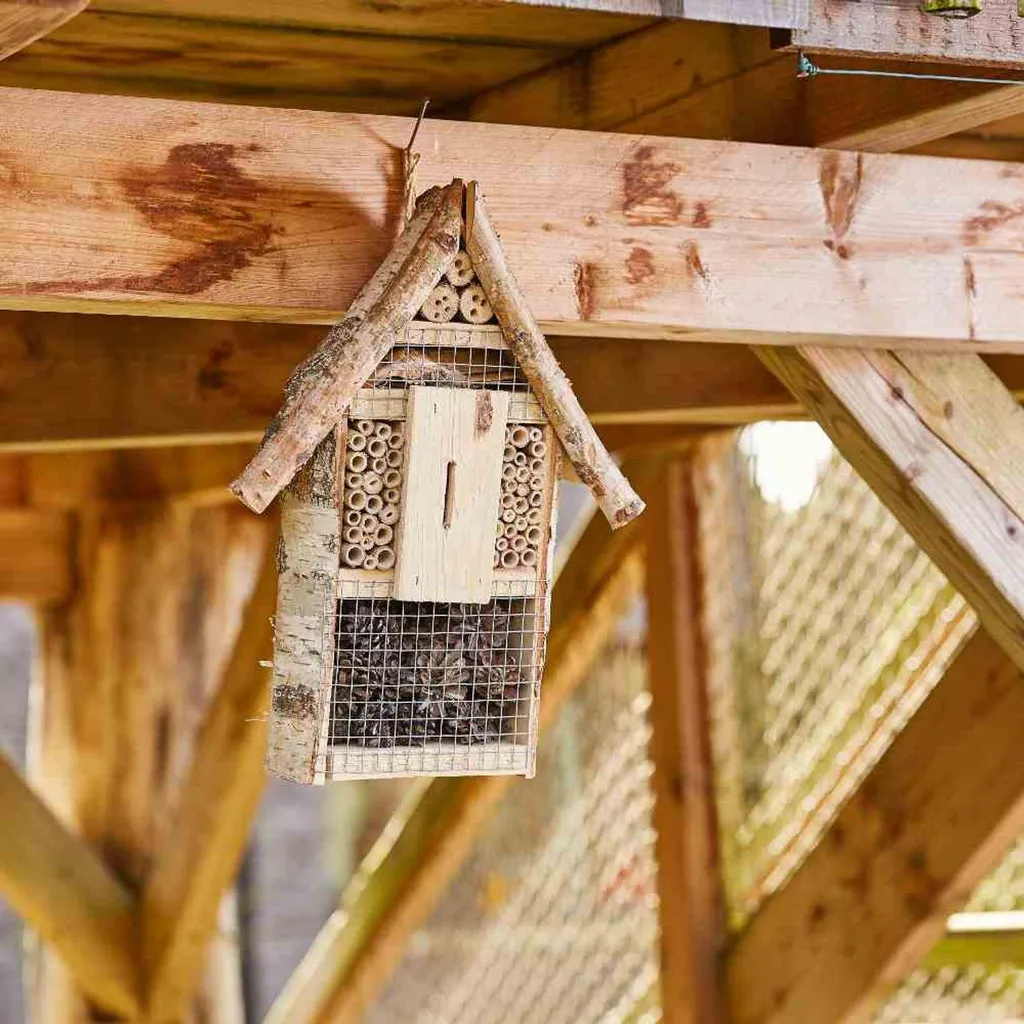Hôtel pour insectes H.G-Vogel 48cm avec compartiments de nidification - 3