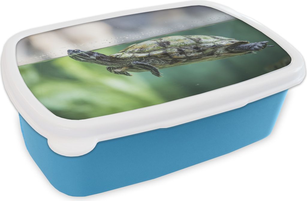 KitchenYeah Lunchbox Brotzeit Brotdose 17x11 cm Nahaufnahme einer Schildkröte Kinder Brotzeitdose - Lunch - Kunststoff - Brotbüchse - Sandwich...