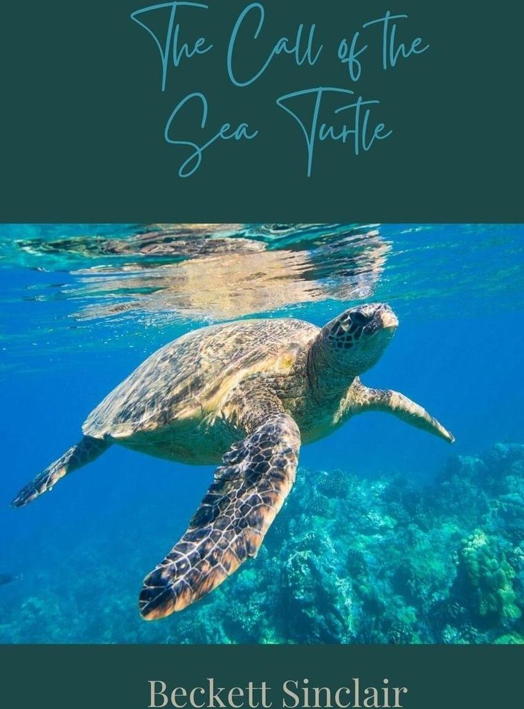 The Call of the Sea Turtle