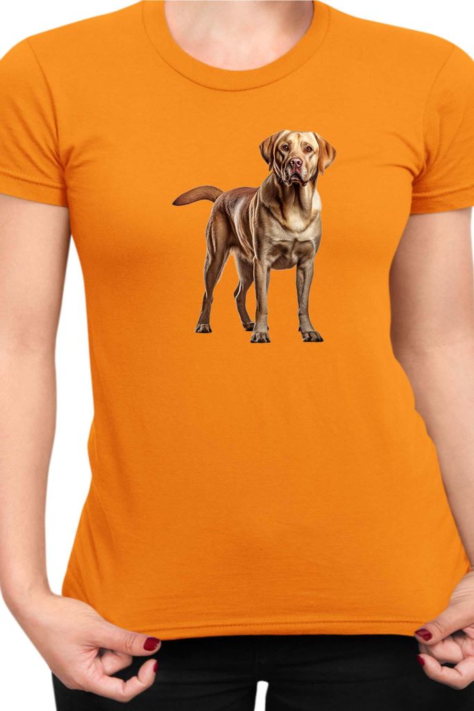 Damen T-Shirt Dogs Breeds Labrador Retriever Dog Breed 005, Lady L / Orange