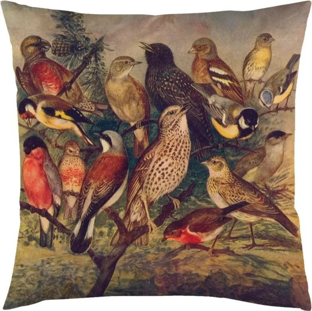 Linge de lit : Taie d'oreiller 50x50cm Oiseaux pour chambre et décoration