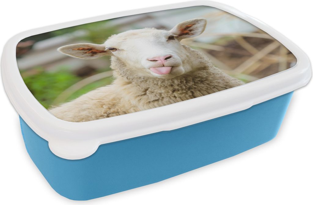 KitchenYeah Lunchbox Brotzeit Brotdose 17x11 cm Schafe - Tiere - Wolle Kinder Brotzeitdose - Lunch - Kunststoff - Brotbüchse - Sandwichbox - Lu...
