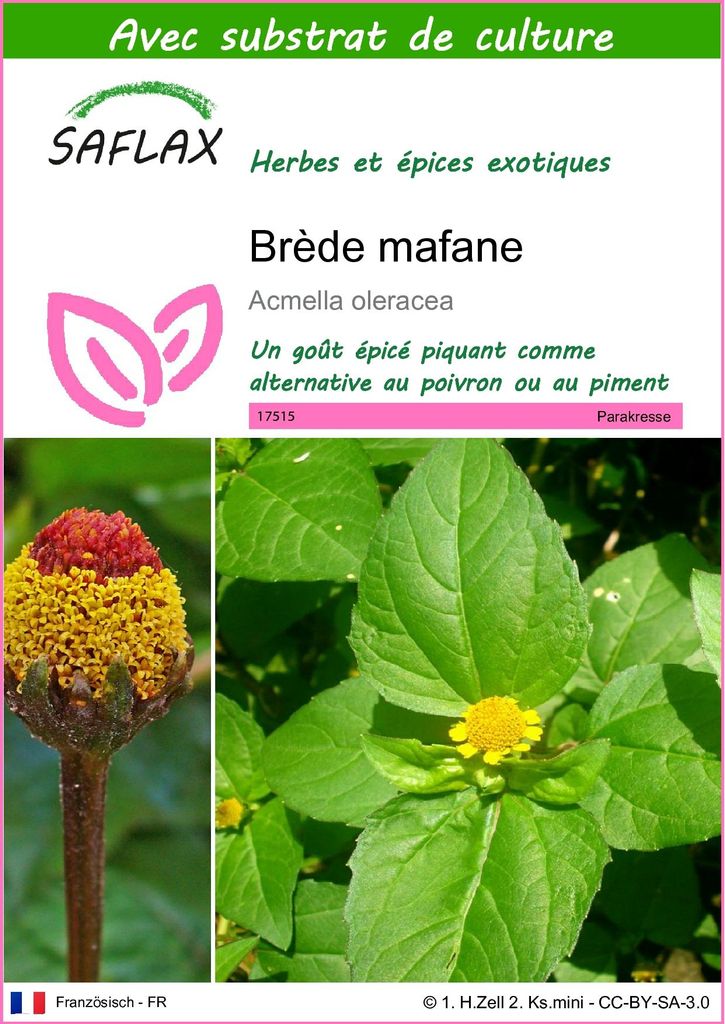 SAFLAX  - Brède mafane - 500 graines - Avec substrat - Image du produit 