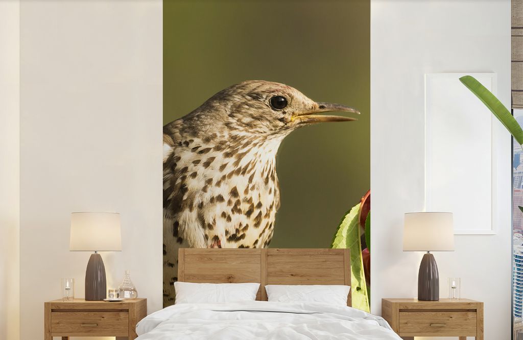 MuchoWow Fototapete für Wohnzimmer oder Schlafzimmer Wandtapete Vinyl Motivtapete Vogel auf einem Ast - 120x240 cm - Hintergrundbild