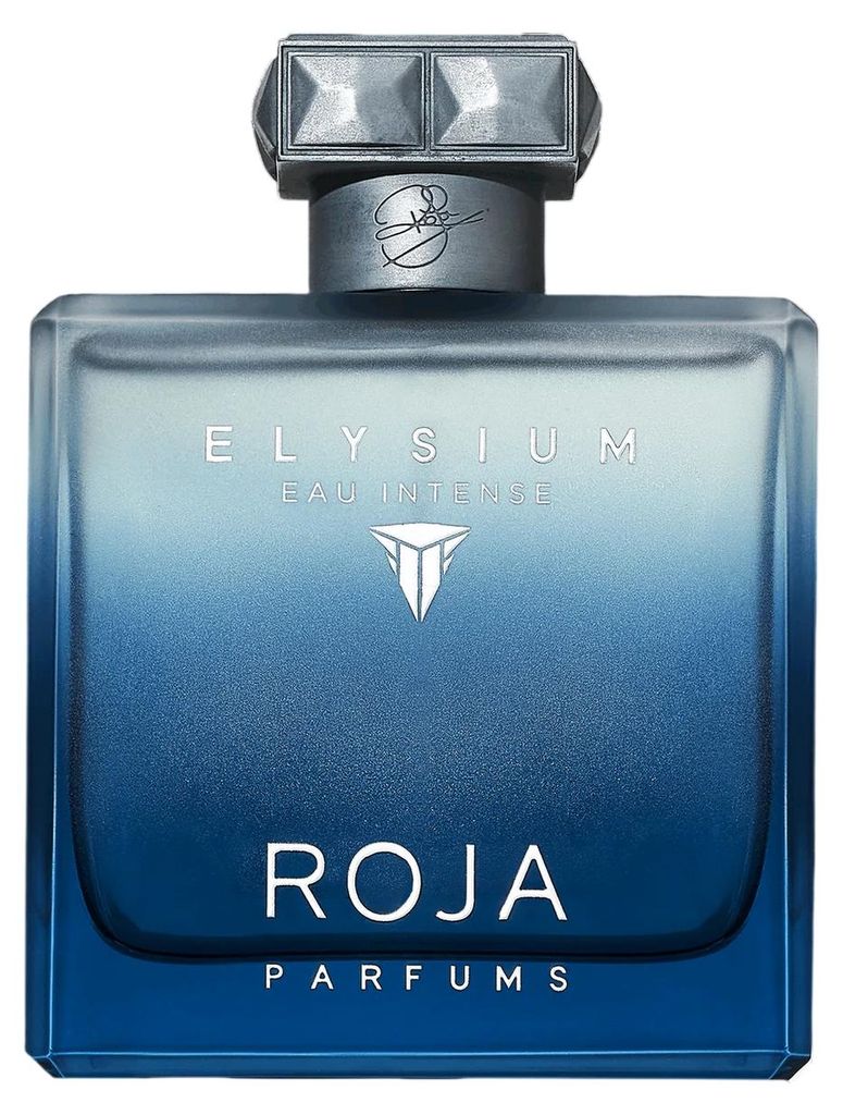Roja, Elysium Eau Intense, Парфюмна вода, За мъже, 100 мл Produktbild 