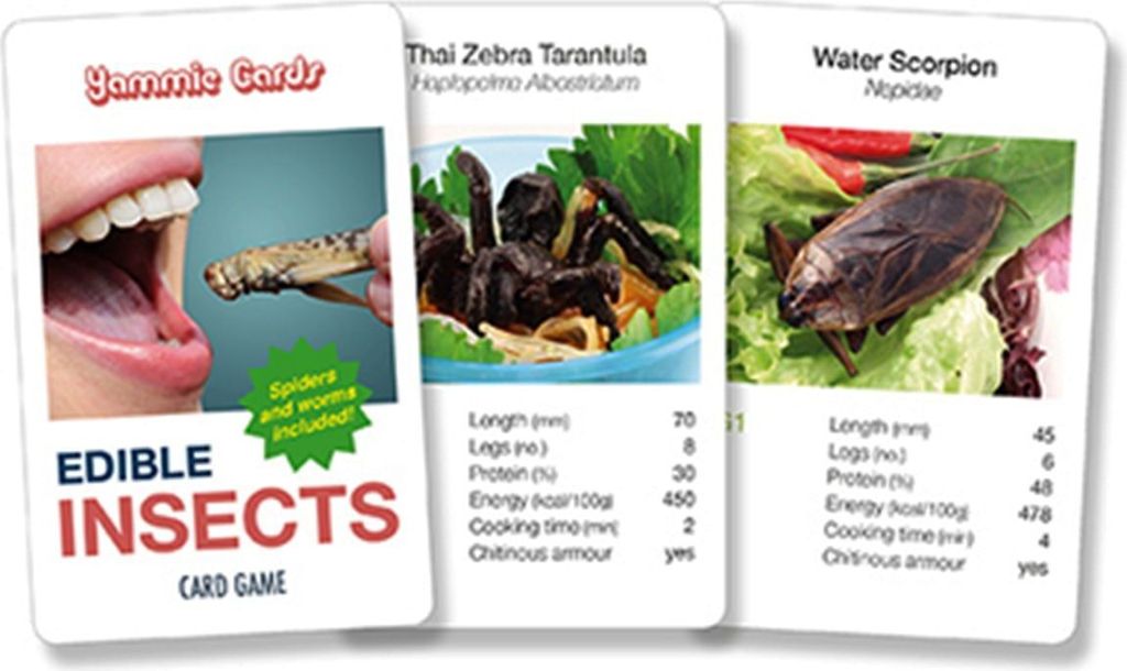 Kartenspiel-Quartett - Edible Insects Produktbild 