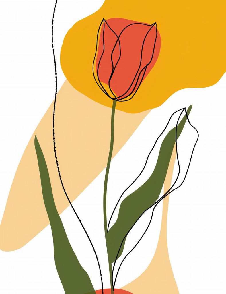 Plakat 50x65cm Nachgezeichnete Tulpe