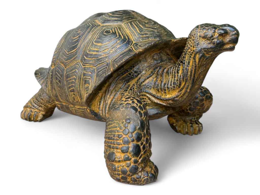 Schildkröten-Plattform Aus Stein – 30x20x0,5 Cm, Ruheplatz & Badebereich Für Reptilien