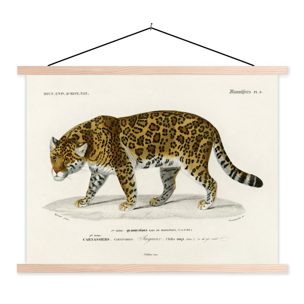 MuchoWow Textilposter Jaguar - Jahrgang - Tier 60x45 cm mit holzfarbenen Rahmen - Bild