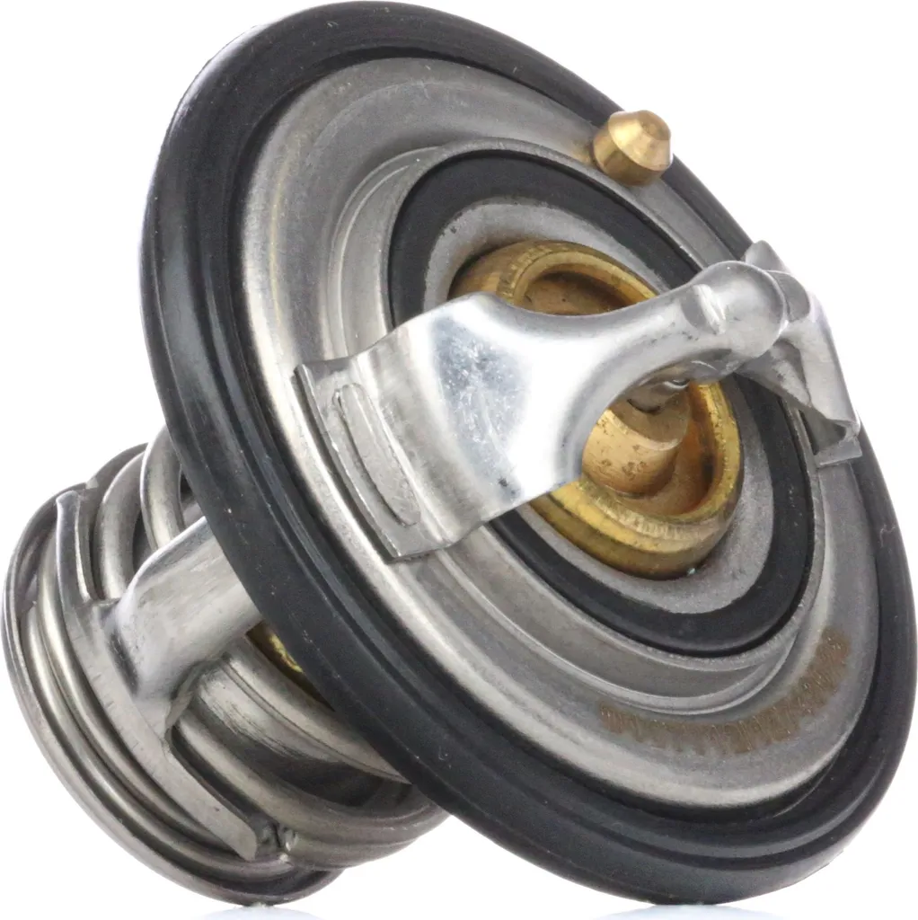 Régulateur thermique de moteur pour Nissan Terrano II R20 et Pick-up