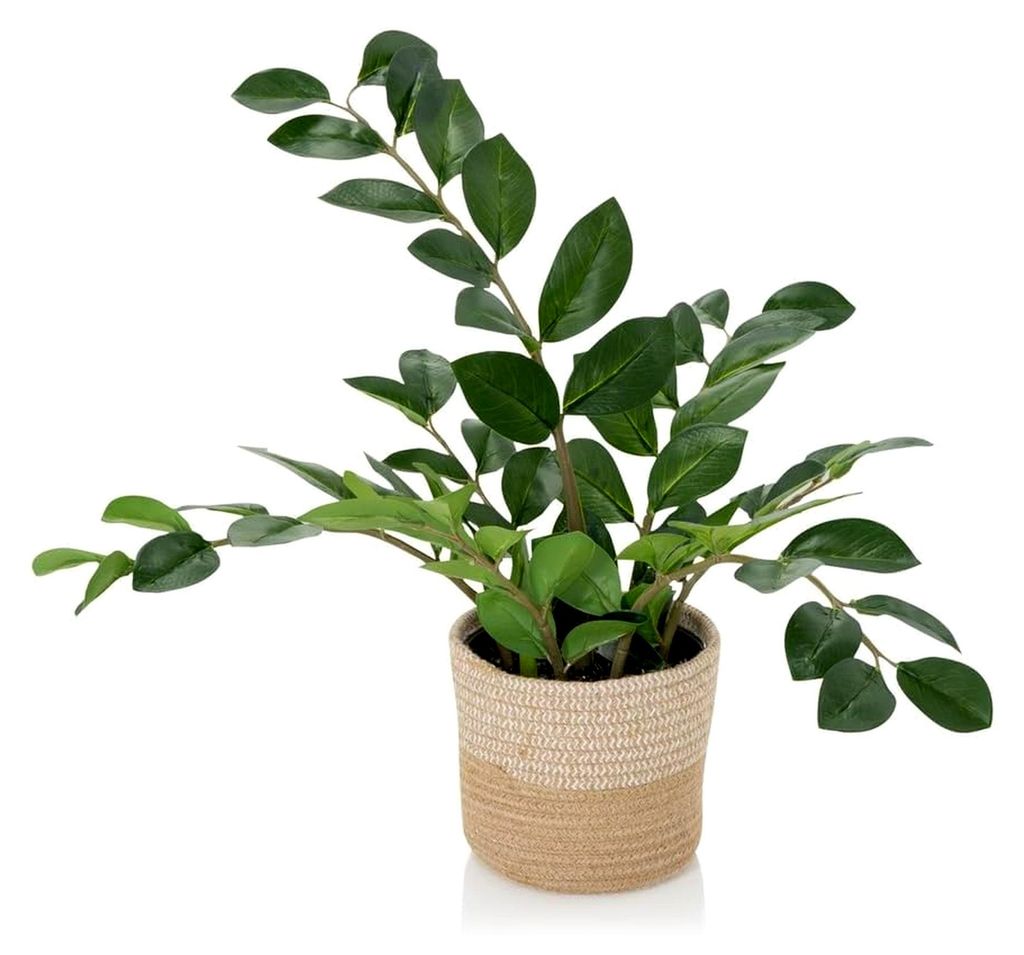 Kunstpflanze ZAMIE Höhe 50 cm Grün Deko Zamioculcas Zimmerpflanze