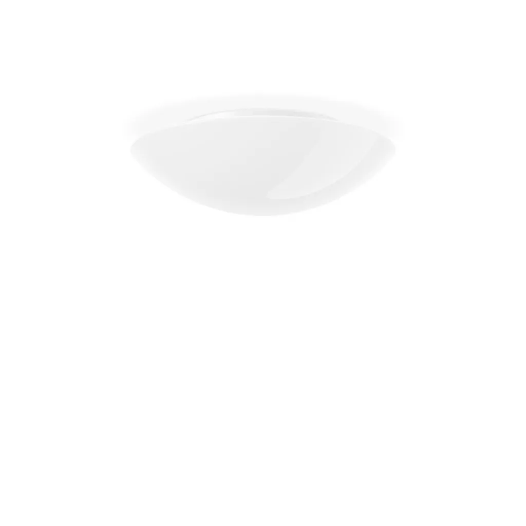 Luminaire RZB 211011.002 fini l'éblouissement avec le verre opale