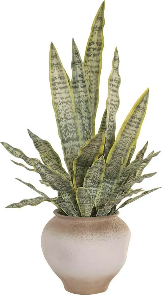 Plante décorative Home ESPRIT en polyéthylène haute qualité - Modèle 115cm