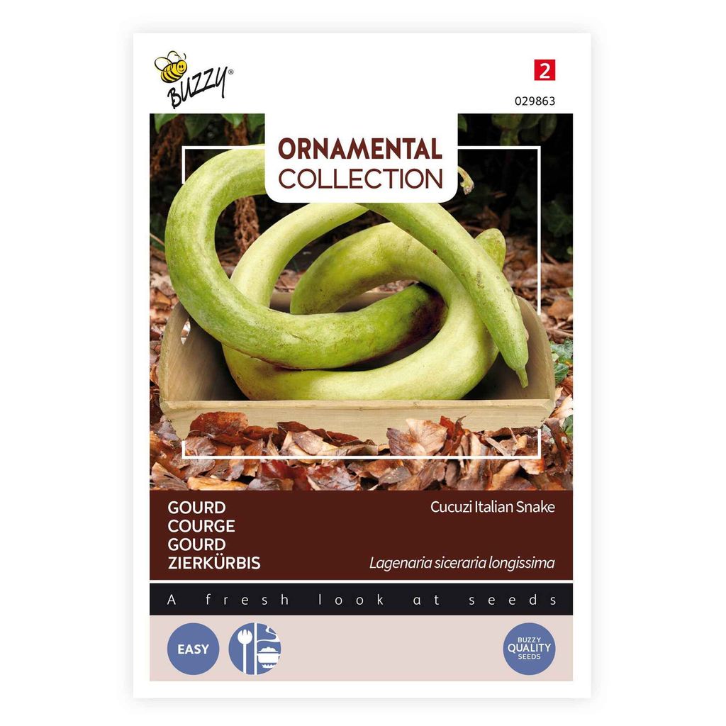 Buzzy semínka okrasné kalabasy italské - cca 2,5 gr | Obrázek produktu 