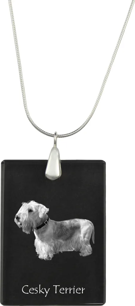 Ciondolo Terrier Ceco in Cristallo - Collana Art-Dog con Foto Personalizzata