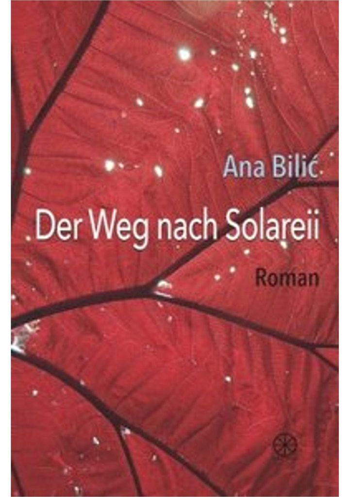 Der Weg nach Solareii
