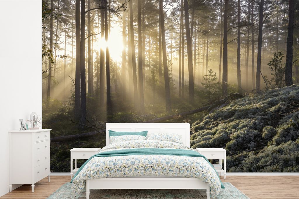 MuchoWow Fototapete für Wohnzimmer oder Schlafzimmer Wandtapete Vinyl Motivtapete Wald - Baum - Sonne - 360x240 cm - Vinyl-Tapete