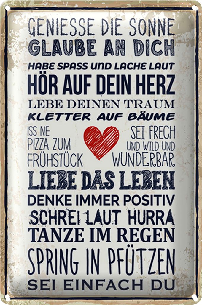 Blechschild Spruch 20x30cm genieße die Sonne