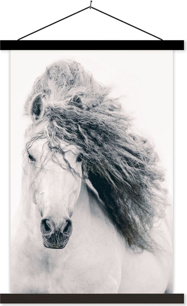 MuchoWow Textilposter Pferd - Grau - Mähne 120x180 cm mit schwarzem Rahmen - Fotos