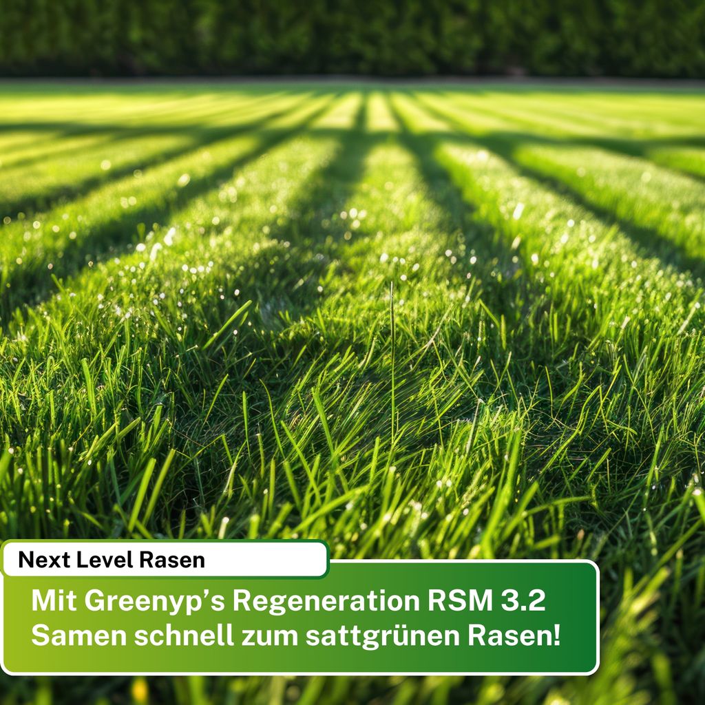 Ugs Rasen Schnell Fahren