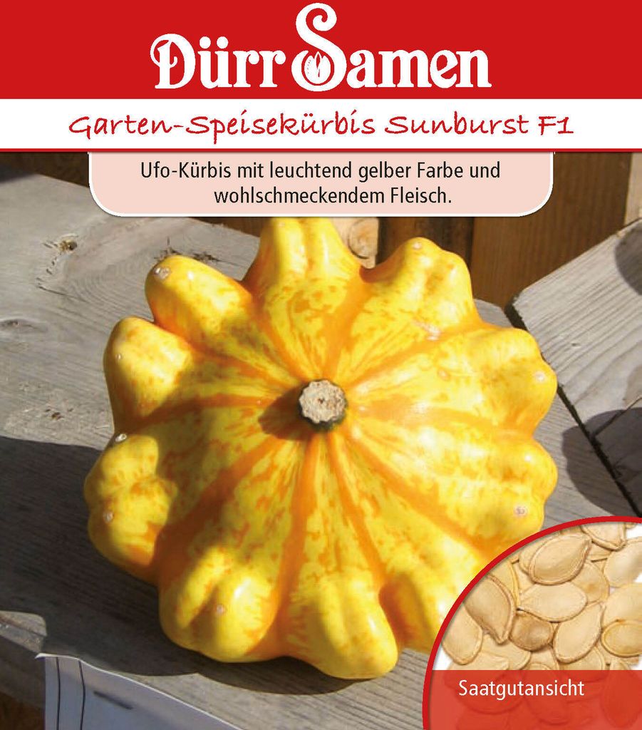 Dürr-Samen - Kürbis Sunburst F1 gelber Ufo - Saatgut - 0932